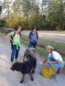 Ambulantes Fastenwandern mit Hunden