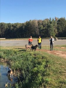 Fastenwandern mit Hunden am See