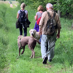 Fastenurlaub mit Hund – Fastenwandern & Wellness